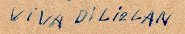 Viva DILIZLAN.jpg
