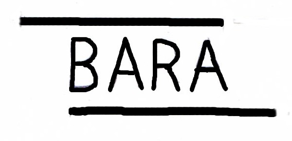 bara imagen.jpg
