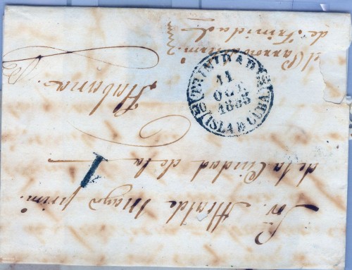 TRINIDAD 1855 BAEZA AZUL.jpg