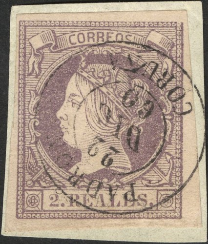 C_Padron_4.jpg