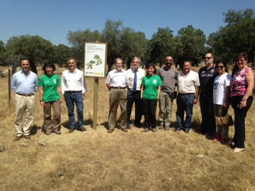 2014-06-12. Correos y WWF inauguran el Bosque de Valencia de Alcántara en Cáceres. Imagen.JPG