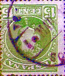 carteria 12mo.jpg