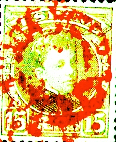 carteria 3mo.jpg