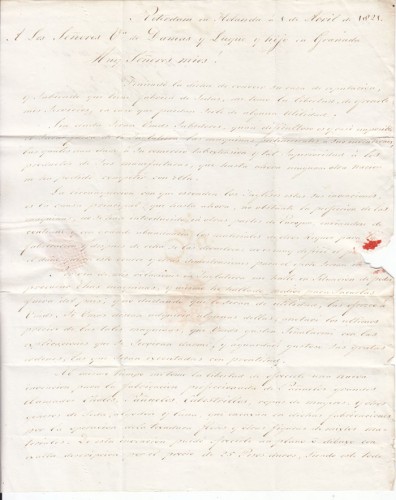 roter 1.jpg