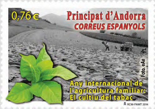 Andorra. 2014-09-15. Any internacional de l'agricultura familiar. El cultiu del tabac. Boceto. B2M0. Baja.jpg