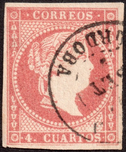 80448.jpg