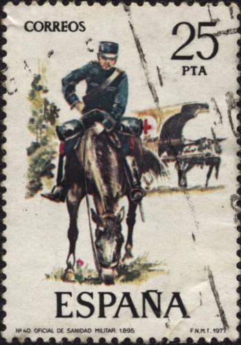 2427 clavel rojo, junto a la pata del caballo
