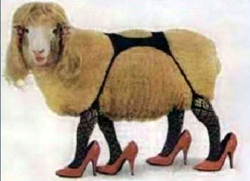 cabra_me visto en Dior.jpg