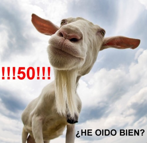 cabra oyente.jpg
