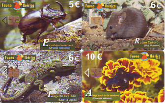 X 4.JPG