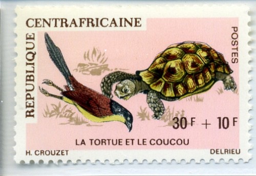 centroafricana637.jpg