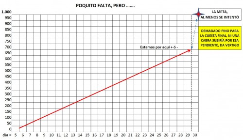 FLECHA-1.jpg