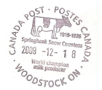 vaca canada.jpg
