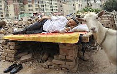 cabra-tais dormidos.jpg