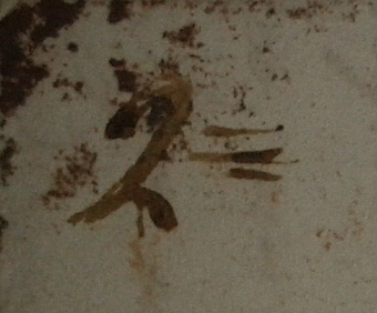 dorso 2.jpg