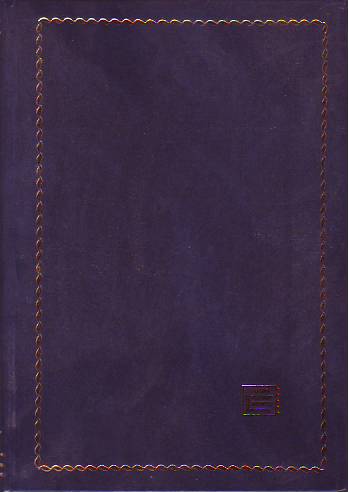 061900 a.JPG