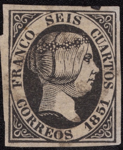 P.P 1.jpg