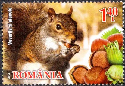 ARD. RUMANIA 2014.jpg