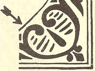 1452530_568270029911337_204408092_n.jpg