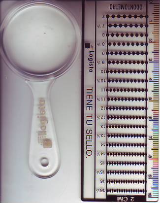 138.JPG