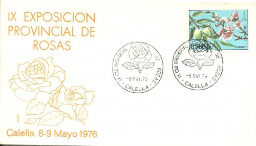 382 001.jpg
