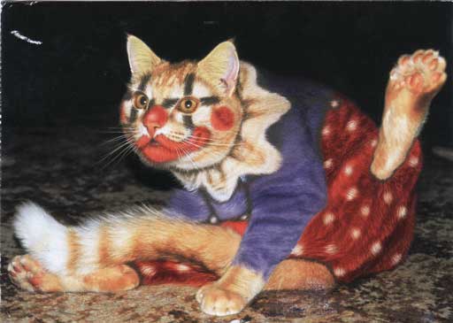 artcat.jpg