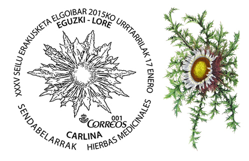 Carlina. Planta medicinal.Matasellos.jpg
