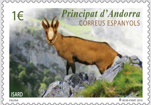 Andorra. 2015-02-09. Fauna. Isard - Rebeco. Boceto. Baja.jpg