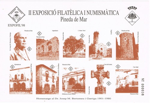 pineda hojita 1.jpg