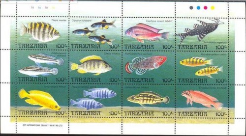 peces.jpg