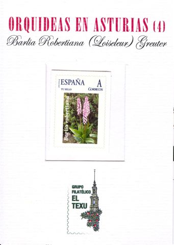 Sello personalizado. Oviedo. Orquídeas en Asturias. 4. Carpeta. Baja.jpg