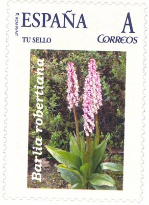 Sello personalizado. Oviedo. Orquídeas en Asturias. 4.jpg