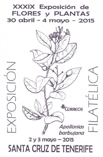 MATASELLOS FLORES MAYO 2015.jpg
