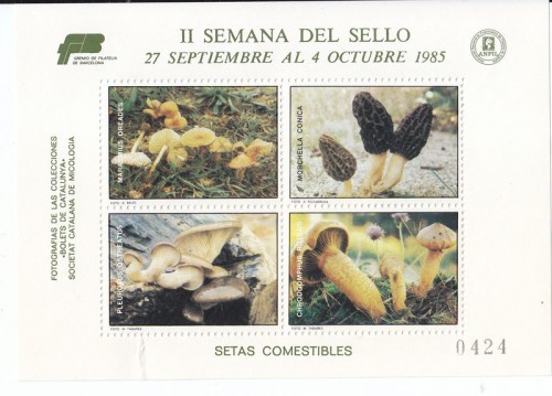 setas 2.jpg