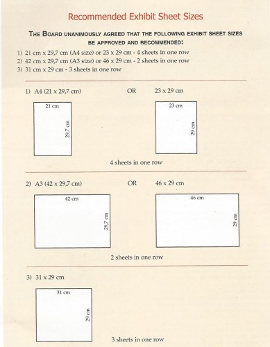 Revista Flash. FIP. 120. Recomendaciones del tamaño de las hojas para exponer.jpg