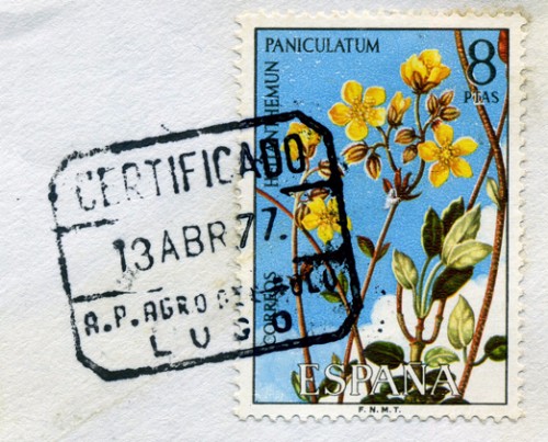 SPE Agro del Rolo 240.jpg