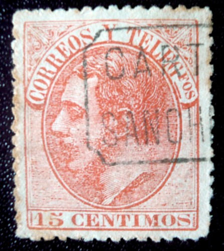 carteria-sanchi002.jpg