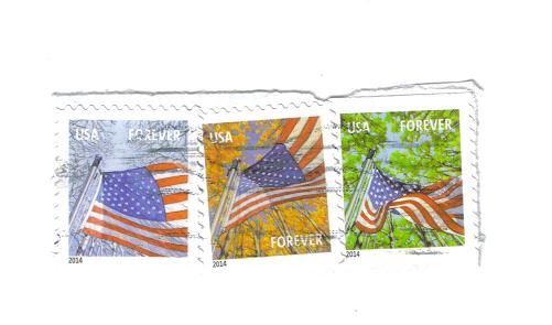 USA Flag Forever.jpg