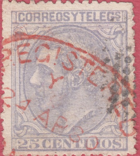 204-registered.jpg