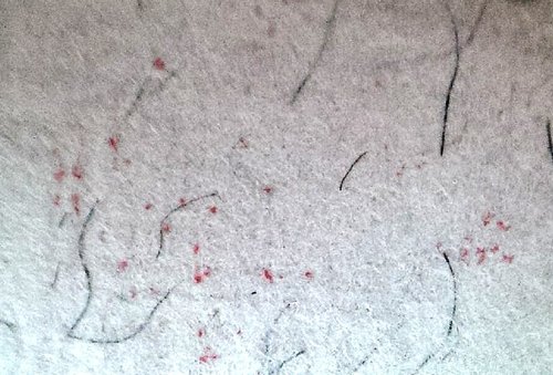 Sello Austriaco por detrás para mostrar el papel con hilos de seda, típico de alguna emisión de este país.