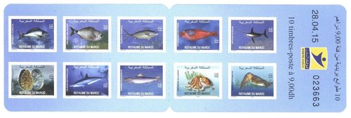 peces.jpg