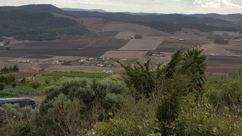 2015-10-11 16.33.32. Baja.jpg