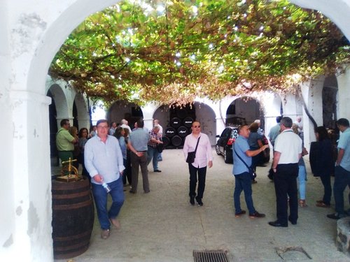 PATIO BODEGA COPIA.jpg