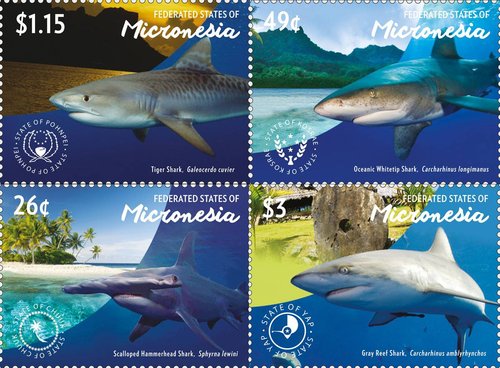 tiburones.jpg