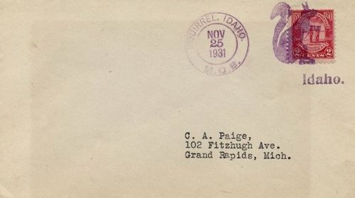 Ardilla 67 B USA Fancy.JPG