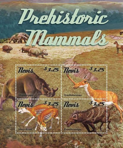 dinosaurios-2.jpg