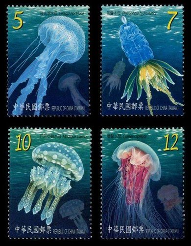 medusas.jpg