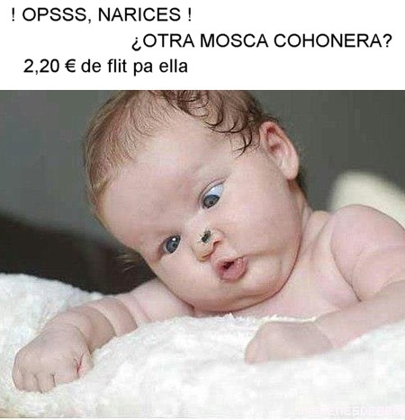 Z25.jpg