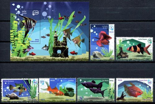 peces de Cuba.jpg