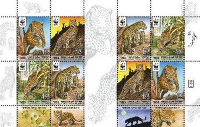 LEOPARDO ISRAEL.jpg